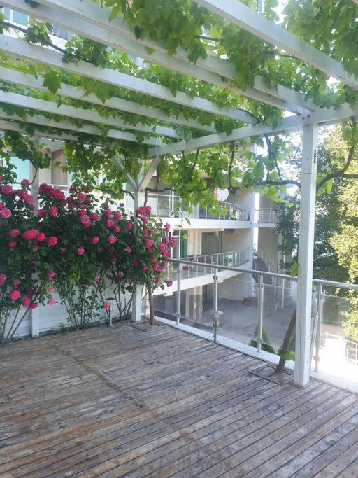 Studio Silver Terace With Sea View For 4 Person Byala  Ngoại thất bức ảnh